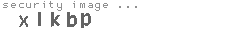 security image