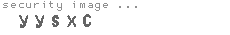 security image