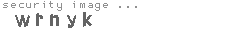 security image