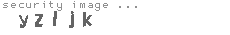 security image