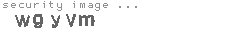 security image