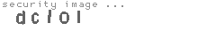 security image