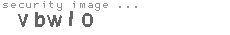 security image