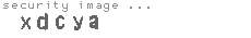 security image