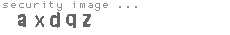 security image