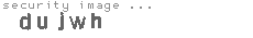 security image