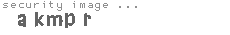 security image