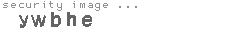 security image