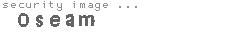 security image