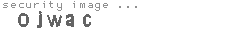 security image