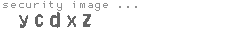 security image