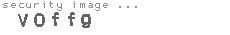 security image