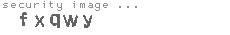security image