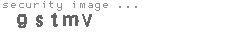 security image