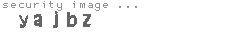 security image