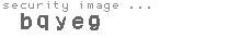 security image