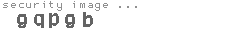 security image