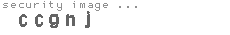 security image
