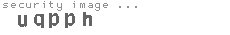 security image