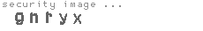 security image