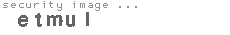 security image