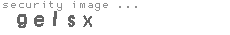 security image