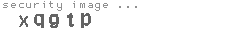 security image