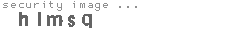 security image