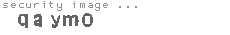 security image