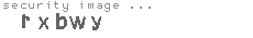 security image