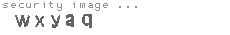 security image