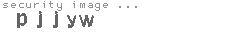 security image