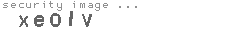security image