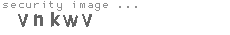 security image
