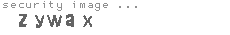 security image