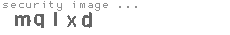 security image