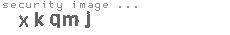security image