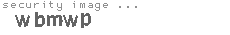 security image