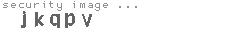 security image
