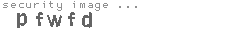 security image