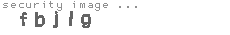 security image