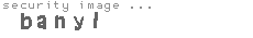 security image