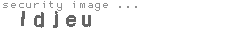 security image