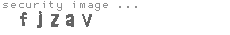 security image
