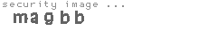 security image