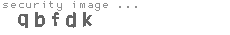 security image