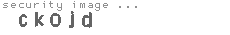 security image