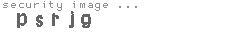 security image