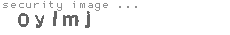 security image