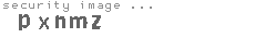 security image